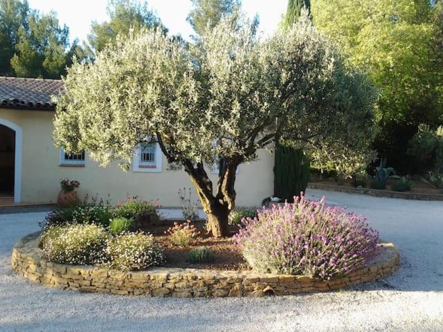 사나리쉬르메르 Maison Privee Au Calme Dans Mas Provencal 빌라 외부 사진